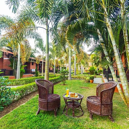 Vision Safari Pvt Ltd Hotel Sauraha Exterior foto