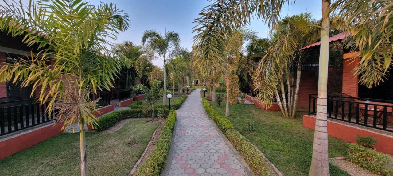 Vision Safari Pvt Ltd Hotel Sauraha Exterior foto